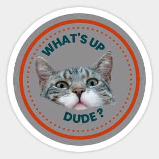 Funny Cat - Whats Up Dude Sticker